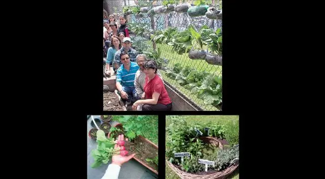 Las posibilidades de hacer tus plantaciones en casa son muchas Las posibilidades de hacer tus plantaciones en casa son muchas