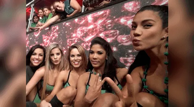 Su familia de Combate Su familia de Combate