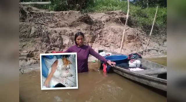 Nueva caso de maltrato animal.