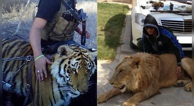 Las mascotas del narcotraficante Las mascotas del narcotraficante