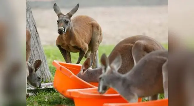 Recinto sigue en problemas Recinto sigue en problemas