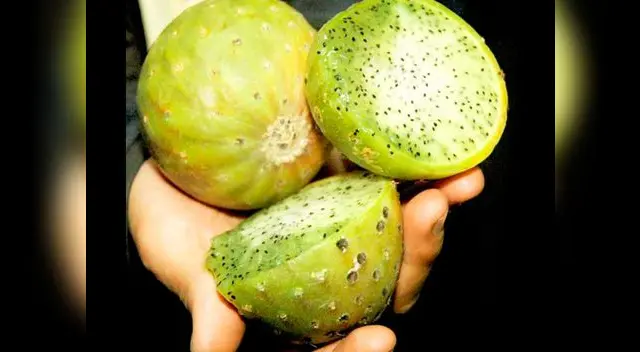 'El consumo de esta fruta exótica debe ser controlado',  indicó el experto