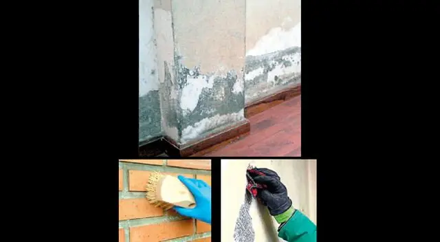 Ventila tu casa cada vez que se pueda eso ayudará a combatir el salitre Ventila tu casa cada vez que se pueda eso ayudará a combatir el salitre