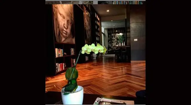 Las vacaciones de Peluchín. Las vacaciones de Peluchín.