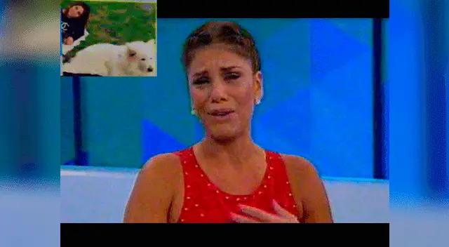 Sandra Arana se quiebra por la muerte de "Rocco"