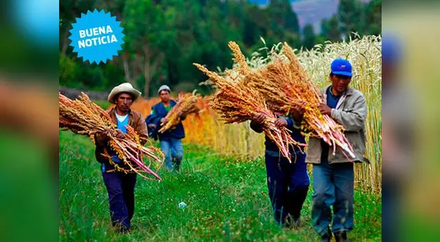 Perú es potencia en este rubro Perú es potencia en este rubro