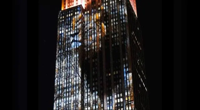 Cecil, el león de África. Cecil, el león de África.