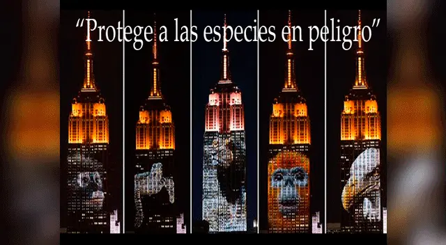 Una de las imágenes compartidas en Instagram. Una de las imágenes compartidas en Instagram.