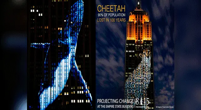 Los animales merecen respeto. Nadie tiene porqué asesinarlos. Los animales merecen respeto. Nadie tiene porqué asesinarlos.