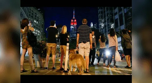 Humanos y animales fueron los espectadores de la noche. Humanos y animales fueron los espectadores de la noche.