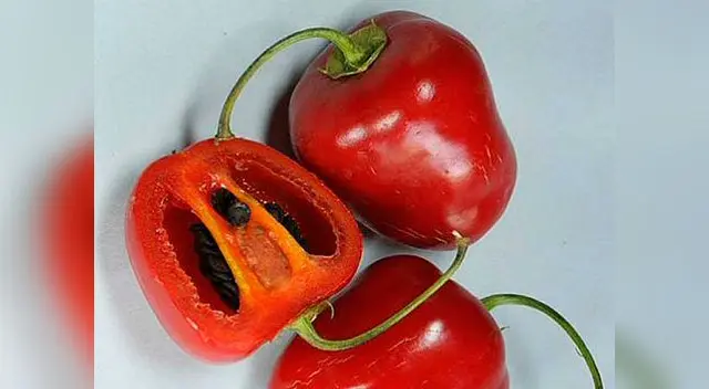 También tiene efecto antioxidante por su alto contenido en vitaminca c.