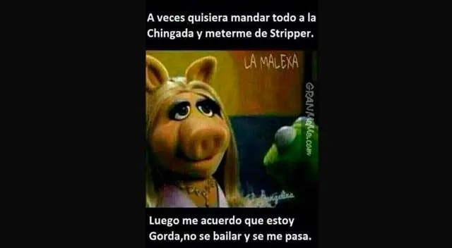 Era la pareja más estable de Plaza Sésamo.