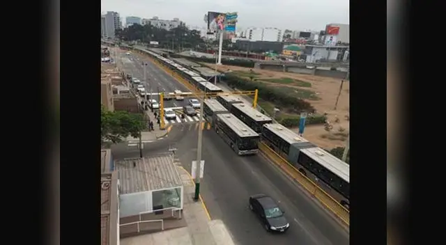 Un usuario compartió la imagen en sus redes sociales. Un usuario compartió la imagen en sus redes sociales.