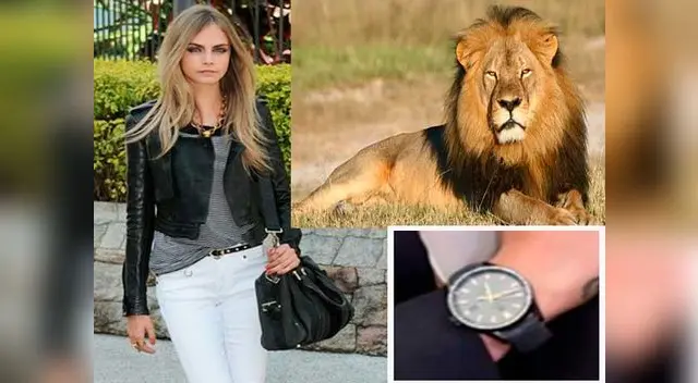 Cara Delevingne se siente indignada por la muerte del león más apreciado de África.