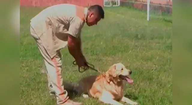 Perros son una ayuda para presos. Imagen: Video Perros son una ayuda para presos. Imagen: Video