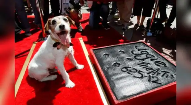 Uggie dejó sus huellas en el Hollywood boulevard