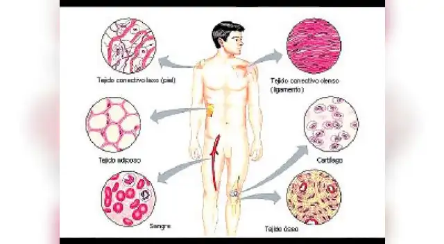 La página Escolar ofrece siempre la más importante información