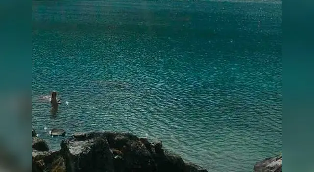 Turista argentino mostró fotos con sirena. 
