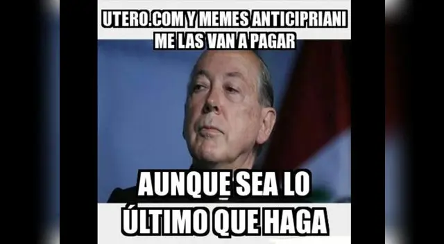Cardenal en memes.