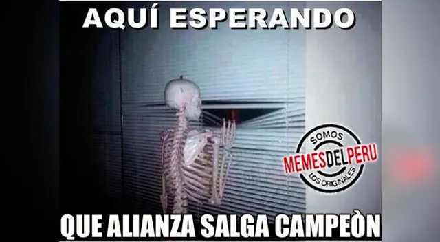 Cibernautas no perdonan a blanquiazules