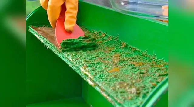 Realiza esta actividad con guantes y gafas de protección. Realiza esta actividad con guantes y gafas de protección.