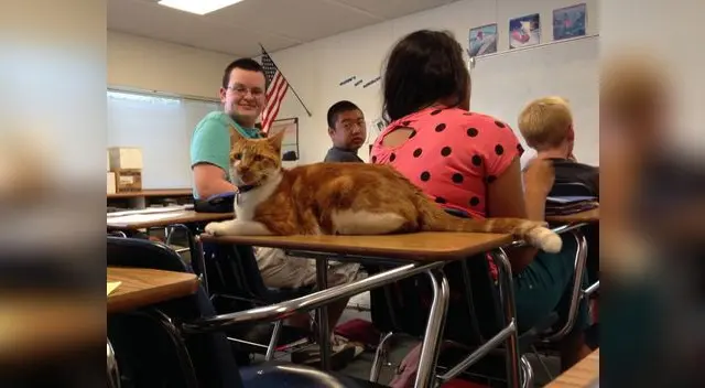 Tiene asiento reservado en clase Tiene asiento reservado en clase