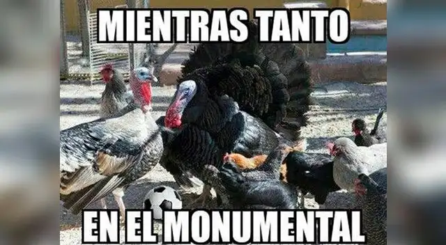 Hinchas celestes trolearon y también fueron troleados