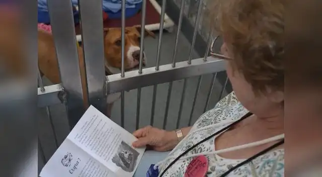 Conoce la historia de la misteriosa señora.