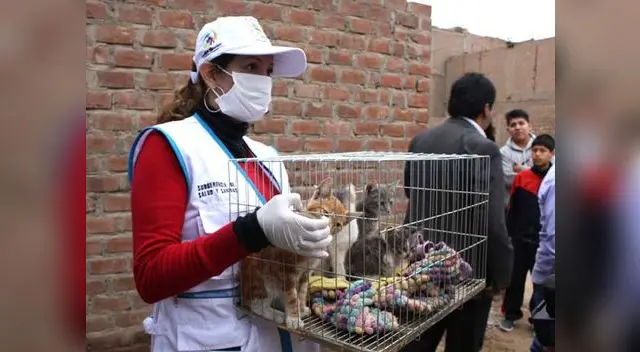 Animalitos ahora reciben los cuidados necesarios. Animalitos ahora reciben los cuidados necesarios.
