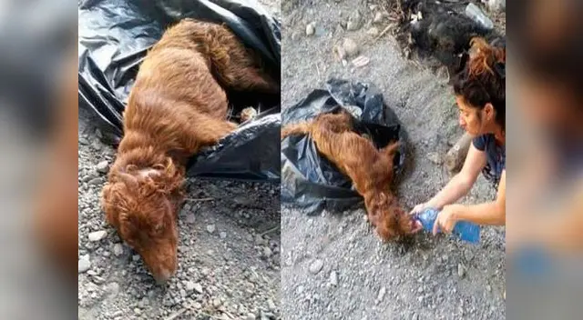 Así fue encontrado Imgur.