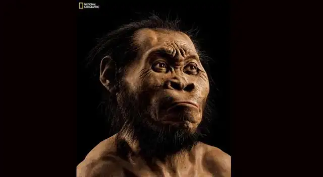 Se abre una nueva etapa de estudio sobre antepasados del hombre.