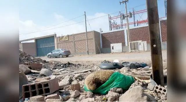 A delincuentes  no les importó la vida del vigilante ni de sus animales.