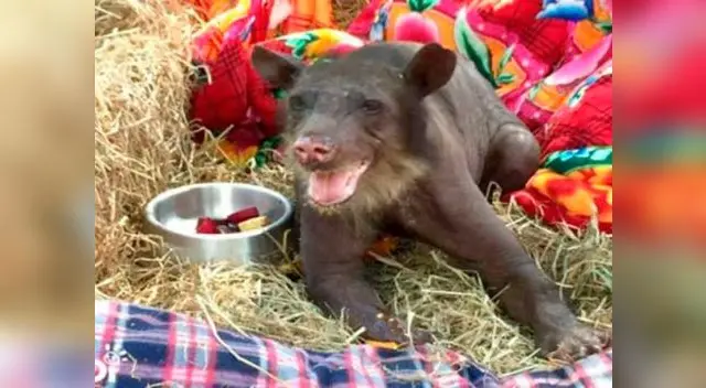 Imágenes de su nueva vida fueron difundidas en las redes sociales.