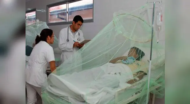 Este domingo no te olvides tu lámina de nutrición: Las dietas saludables.