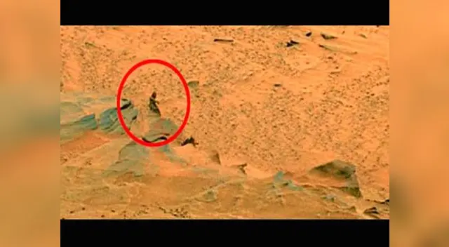 La cabeza del hombre. La cabeza del hombre.