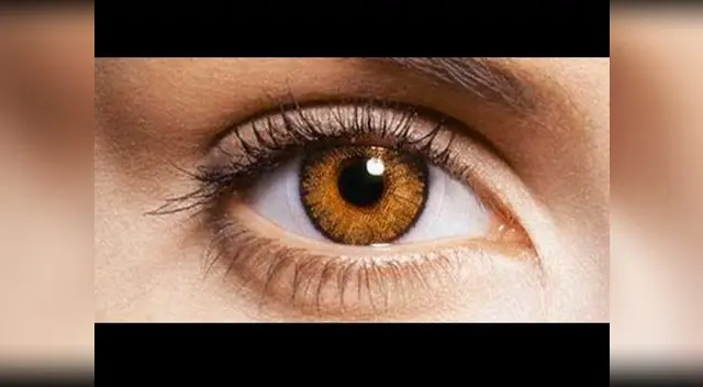 La paciente, de 70 años, tenía degeneración macular La paciente, de 70 años, tenía degeneración macular