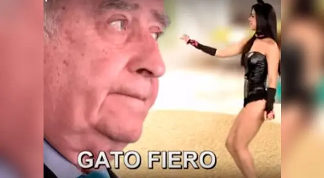 El 'Gato Fiero' pueden convertirse en viral... El 'Gato Fiero' pueden convertirse en viral...