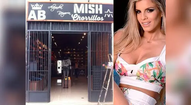 Empresaria señaló que se llevaron casi todo