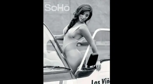 Sexy chofer de combi