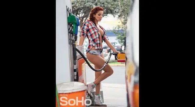 Sexy chofer de combi