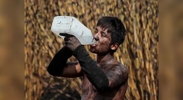 ¿Cambio climático trajo consigo mayores enfermedades?