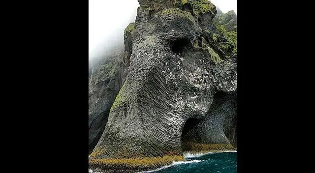 Las persona no se ponen de acuerdo si se trata de un elefante o un mamut Las persona no se ponen de acuerdo si se trata de un elefante o un mamut