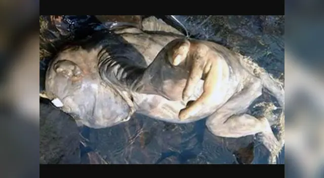 Esto fue lo que encontró unos bomberos en Paraguay.