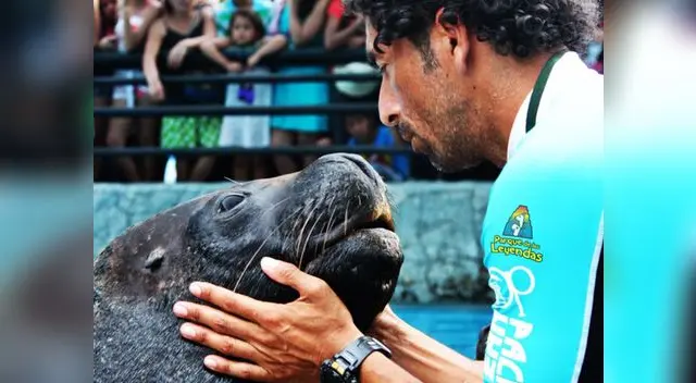 El show acuático es lo más esperado en el Parque de Las Leyendas.