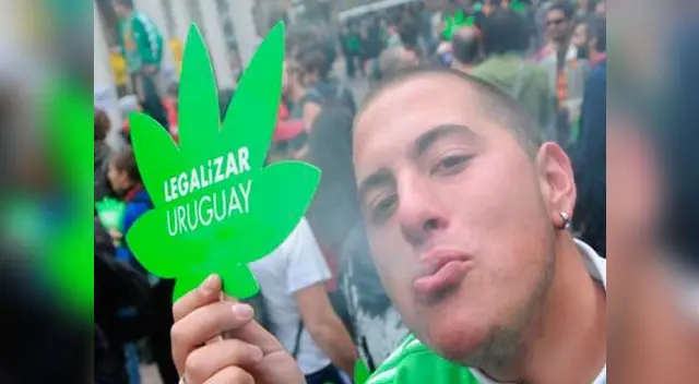 Marihuana legal en Uruguay.