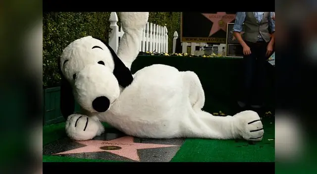 Famoso beagle ya tiene su estrella a pocos días del estreno de su película Famoso beagle ya tiene su estrella a pocos días del estreno de su película