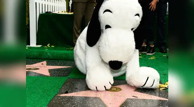 Famoso beagle ya tiene su estrella a pocos días del estreno de su película Famoso beagle ya tiene su estrella a pocos días del estreno de su película