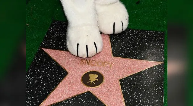 Famoso beagle ya tiene su estrella a pocos días del estreno de su película Famoso beagle ya tiene su estrella a pocos días del estreno de su película