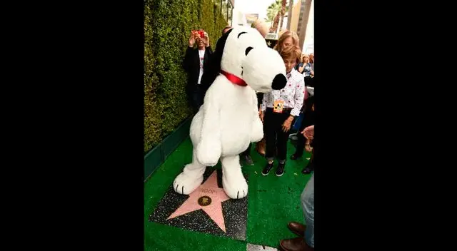 Famoso beagle ya tiene su estrella a pocos días del estreno de su película Famoso beagle ya tiene su estrella a pocos días del estreno de su película