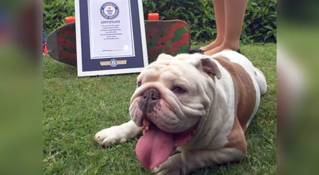 Otto es todo un experto en el skate.